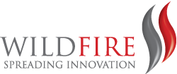 Wildfire Gas Fires Exeter
