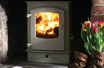 Woodburning stoves East Devon